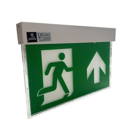 Luce di emergenza a LED LED/2W/230V 6000K 1500 mAh