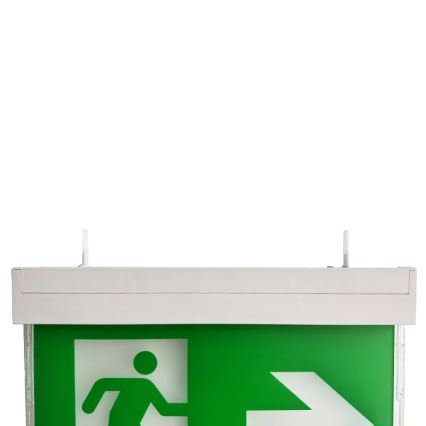 Luce di emergenza a LED LED/2W/230V 6000K 1500 mAh