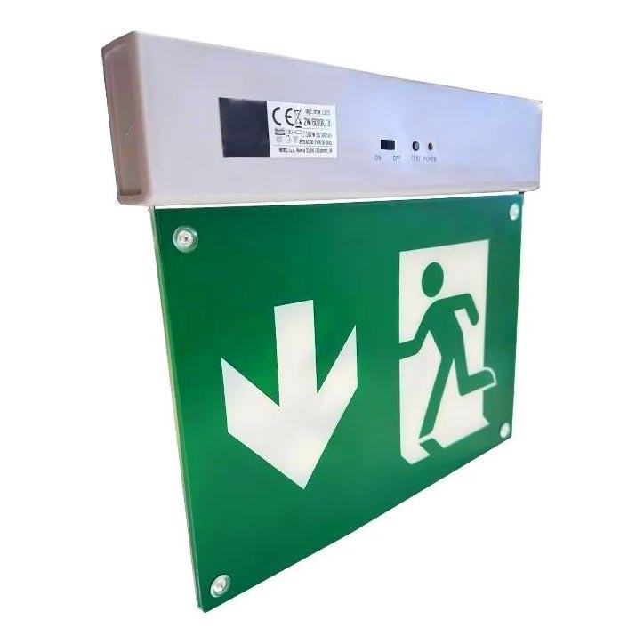 Luce di emergenza a LED LED/2W/230V 6000K 300 mAh
