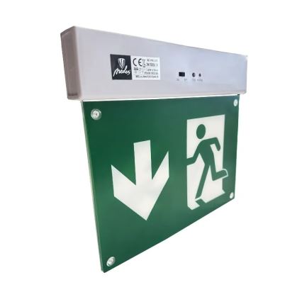 Luce di emergenza a LED LED/2W/230V 6000K 300 mAh