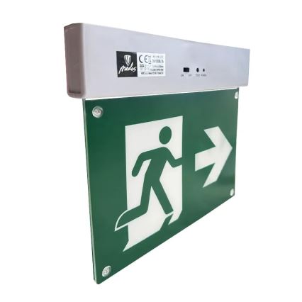 Luce di emergenza a LED LED/2W/230V 6000K 300 mAh