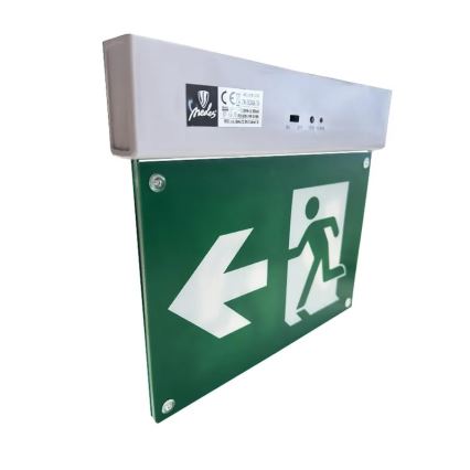 Luce di emergenza a LED LED/2W/230V 6000K 300 mAh