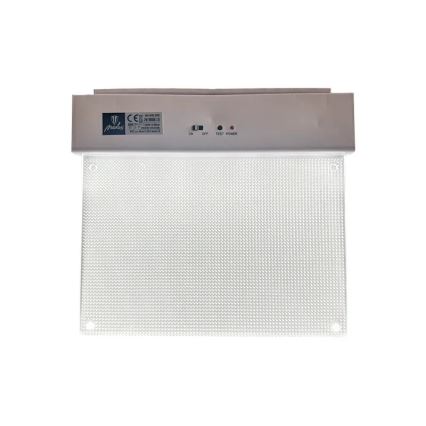 Luce di emergenza a LED LED/2W/230V 6000K 300 mAh
