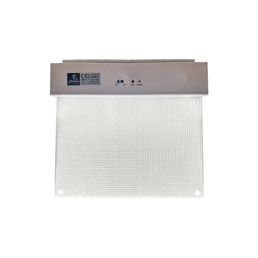 Luce di emergenza a LED LED/2W/230V 6000K 300 mAh