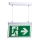 Luce di emergenza a LED LED/4W/230V 6000K 1000 mAh