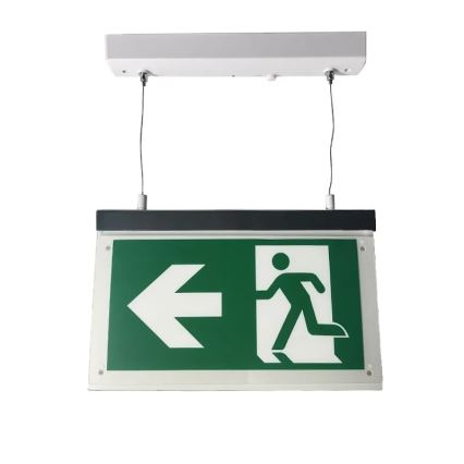 Luce di emergenza a LED LED/4W/230V 6000K 1000 mAh