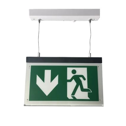 Luce di emergenza a LED LED/4W/230V 6000K 1000 mAh
