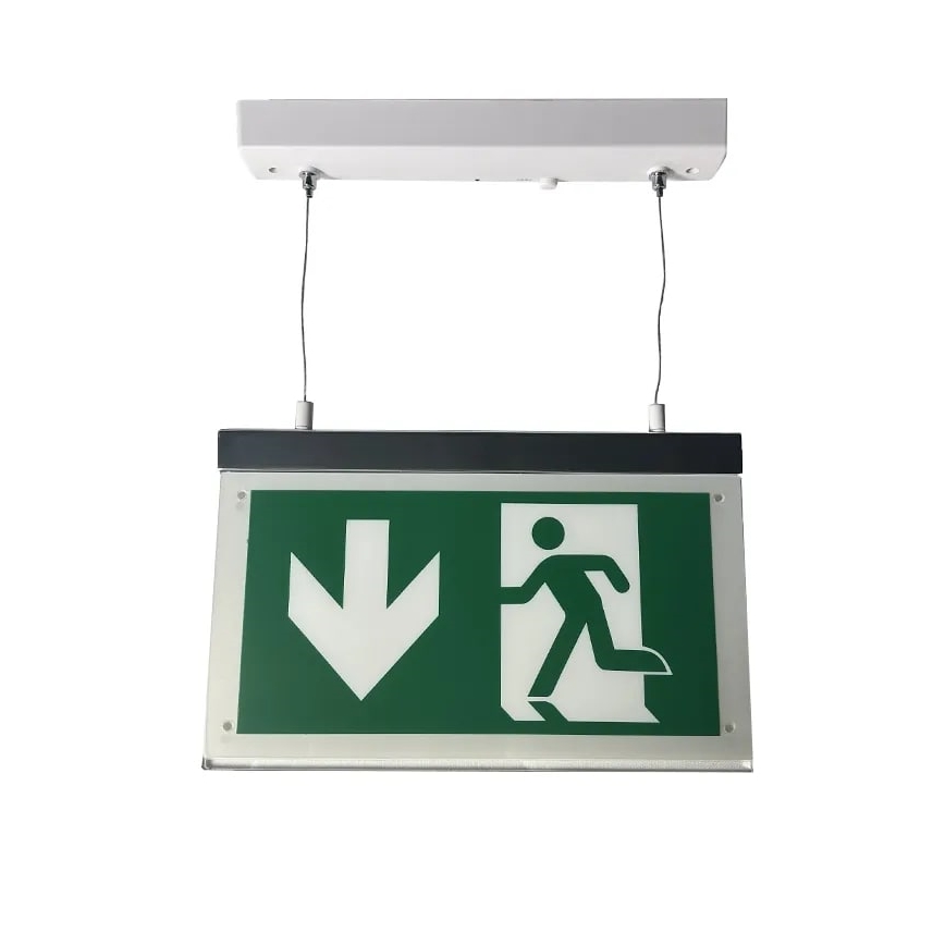 Luce di emergenza a LED LED/4W/230V 6000K 1000 mAh