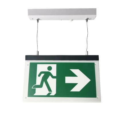 Luce di emergenza a LED LED/4W/230V 6000K 1000 mAh