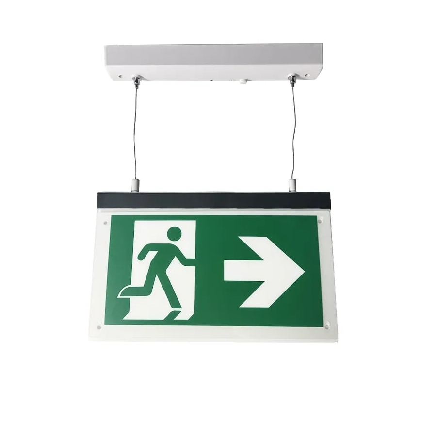 Luce di emergenza a LED LED/4W/230V 6000K 1000 mAh