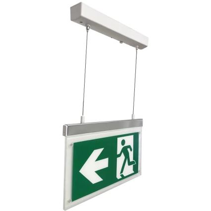 Luce di emergenza a LED LED/4W/230V 6000K 1000 mAh