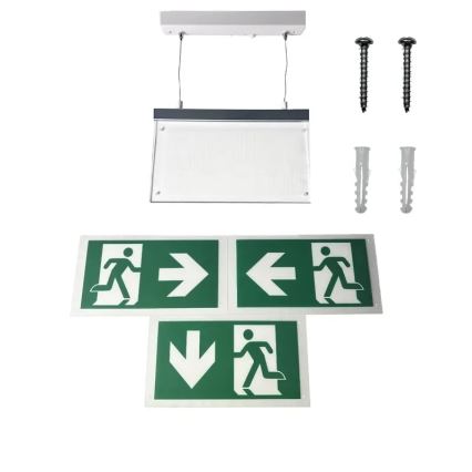 Luce di emergenza a LED LED/4W/230V 6000K 1000 mAh