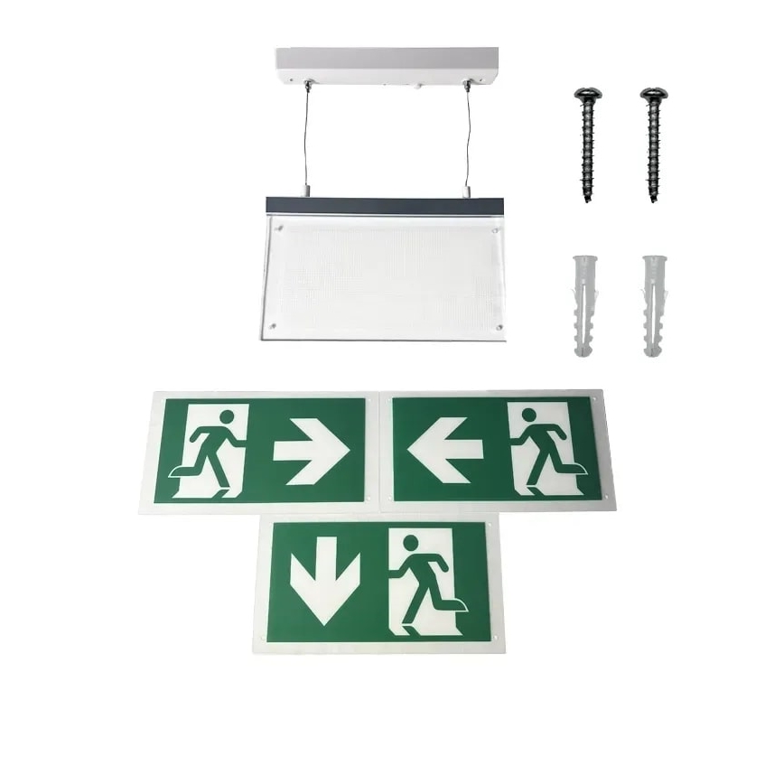 Luce di emergenza a LED LED/4W/230V 6000K 1000 mAh