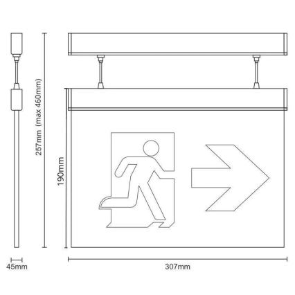 Luce di emergenza a LED LED/4W/230V 6000K 1000 mAh