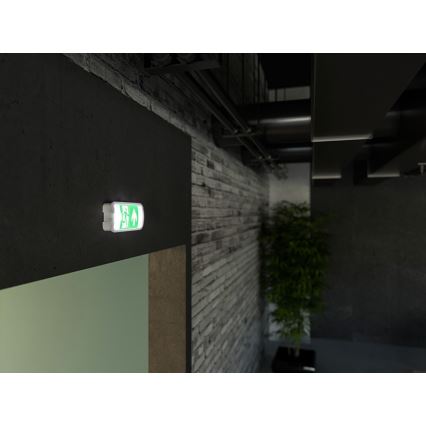 Luce di emergenza a LED VIRGO EVO LED/1W/230V 6000K IP65
