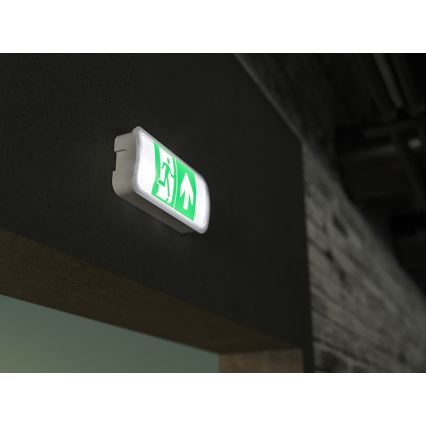 Luce di emergenza a LED VIRGO EVO LED/1W/230V 6000K IP65