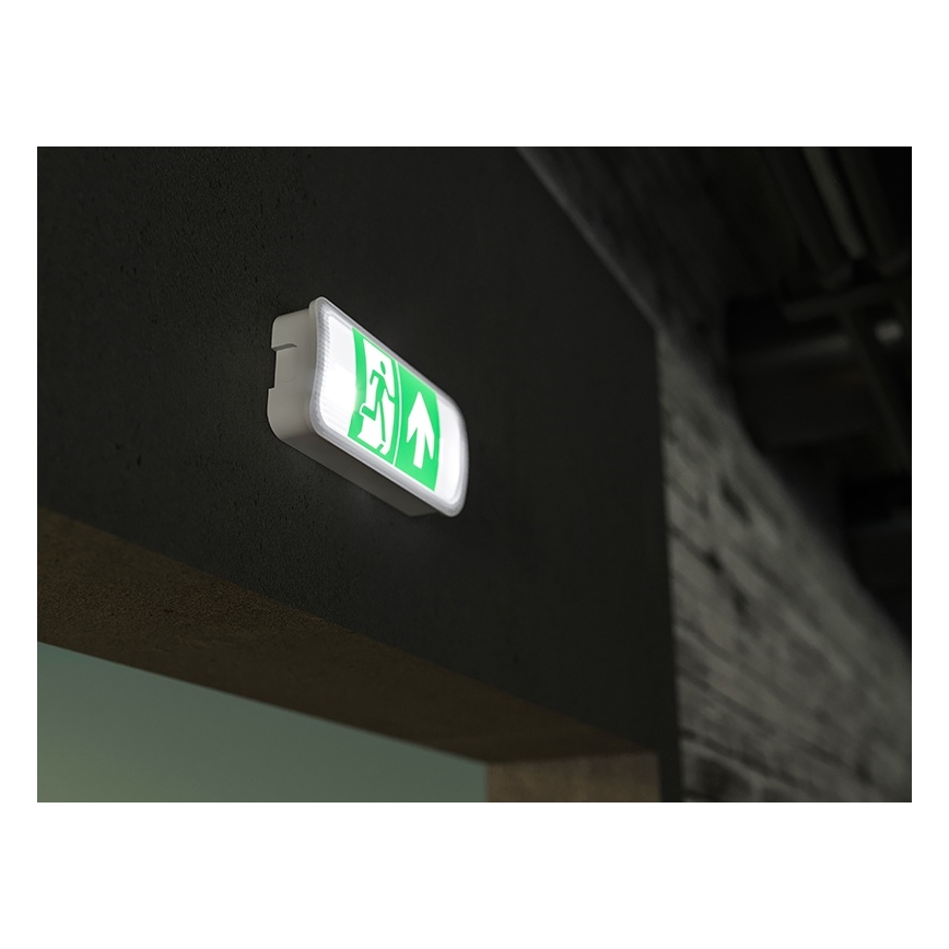 Luce di emergenza a LED VIRGO EVO LED/1W/230V 6000K IP65