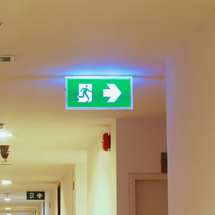 Luce di emergenza LED EMERGENCY EXIT SAMSUNG CHIP LED/2W/230V 6000K