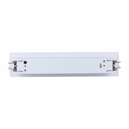 Luce di emergenza LED EMERGENCY EXIT SAMSUNG CHIP LED/2W/230V 6000K