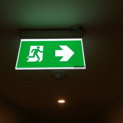 Luce di emergenza LED EMERGENCY EXIT SAMSUNG CHIP LED/2W/230V 6000K