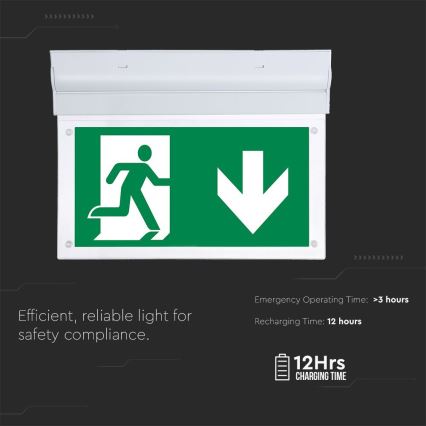 Luce di emergenza LED EMERGENCY EXIT SAMSUNG CHIP LED/2W/230V 6000K