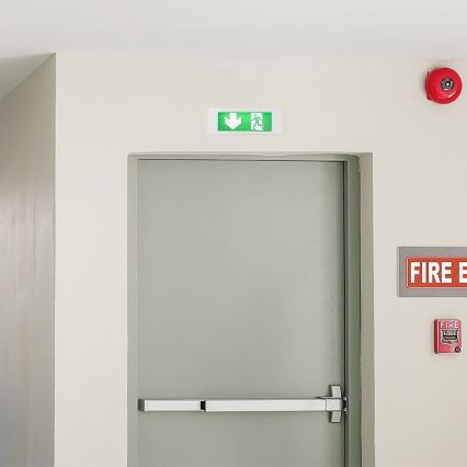 Luce di emergenza LED EMERGENCY EXIT SAMSUNG CHIP LED/3,8W/230V 6000K