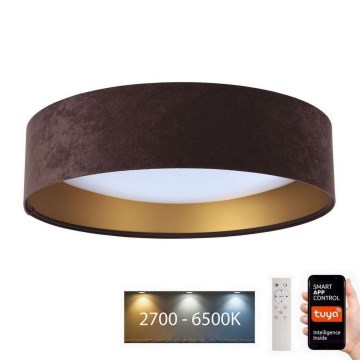 Luce LED dimmerabile SMART GALAXY LED/24W/230V d. 45 cm Wi-Fi Tuya + telecomando