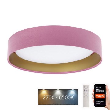 Luce LED dimmerabile SMART GALAXY LED/24W/230V d. 45 cm Wi-Fi Tuya + telecomando