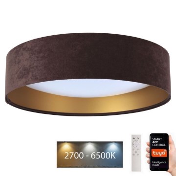 Luce LED dimmerabile SMART GALAXY LED/36W/230V d. 55 cm Wi-Fi Tuya + telecomando