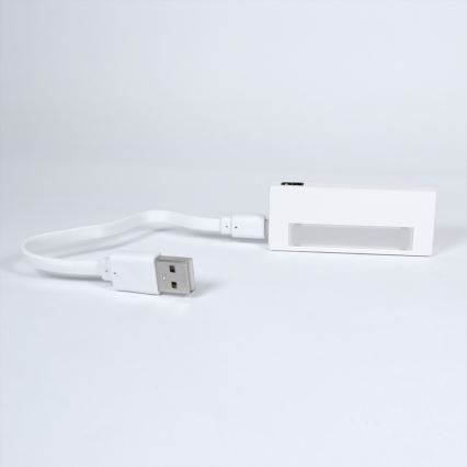 Luce LED per armadio LED/0,6W/USB