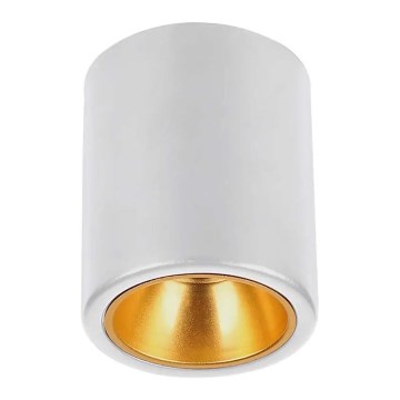 Luce Spot 1xGU10/35W/230V tondo bianco