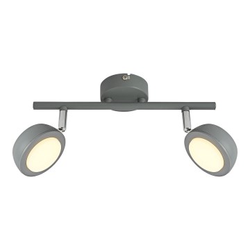 Luce Spot a LED MILD 2xLED/6W/230V grigio