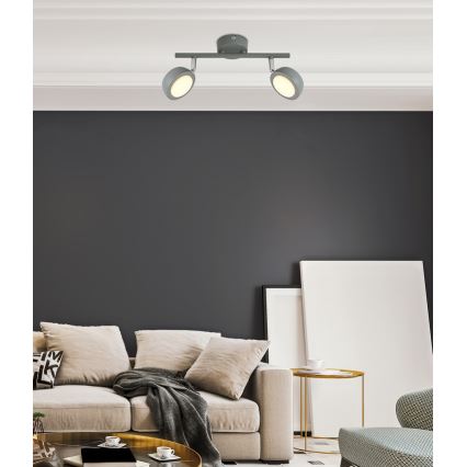 Luce Spot a LED MILD 2xLED/6W/230V grigio