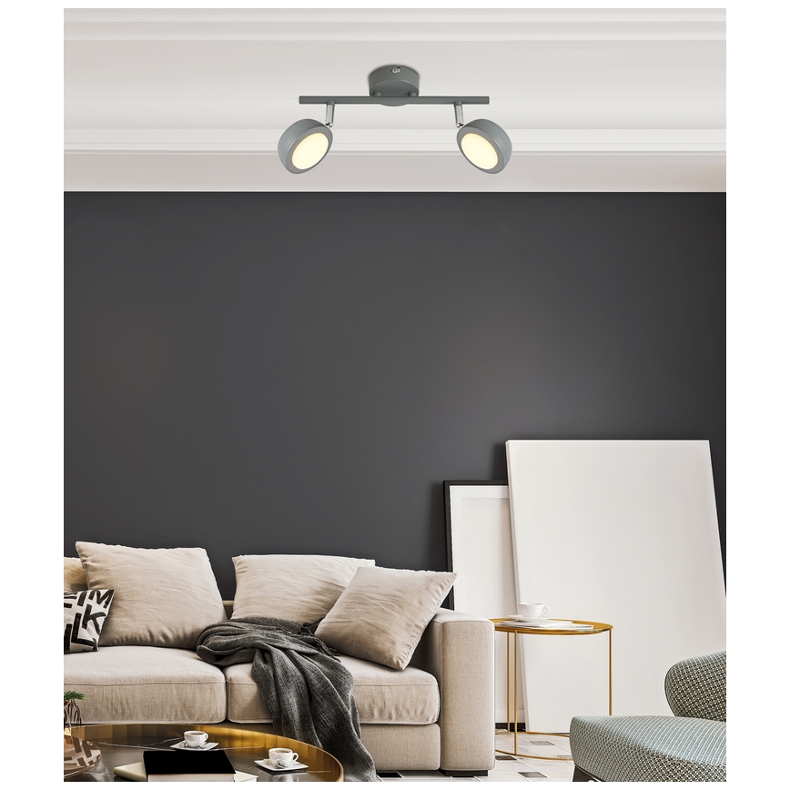Luce Spot a LED MILD 2xLED/6W/230V grigio