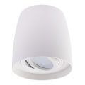 Luce Spot BESA 1xGU10/30W/230V bianco