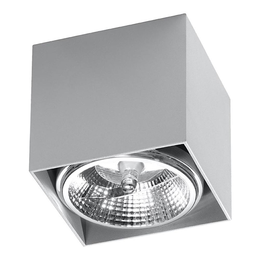 Luce Spot BLAKE 1xGU10/40W/230V