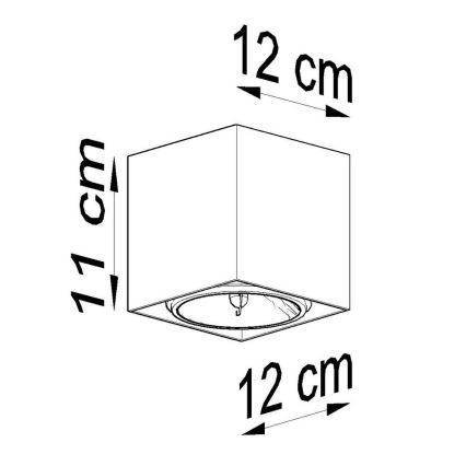 Luce Spot BLAKE 1xGU10/40W/230V