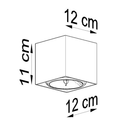 Luce Spot BLAKE 1xGU10/40W/230V