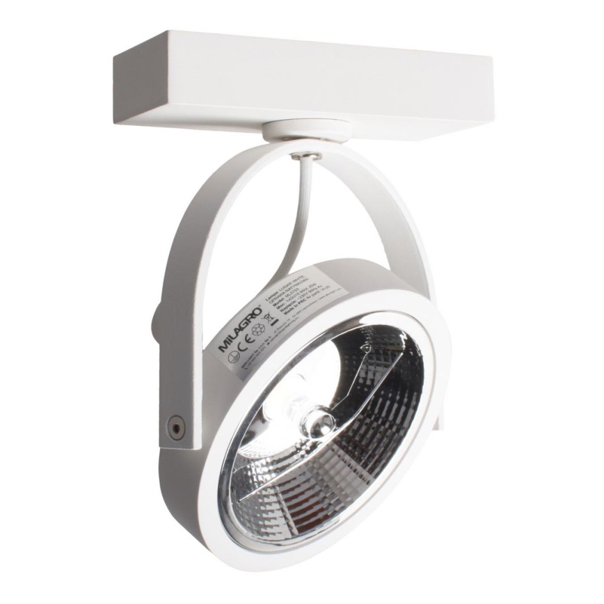 Luce Spot da parete a LED LUGAR 1xAR111 - GU10/25W/230V