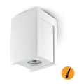 Luce Spot da soffitto LINDO 1xGU10/25W/230V