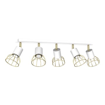 Luce Spot DANTE 5xGU10/25W/230V bianco/oro