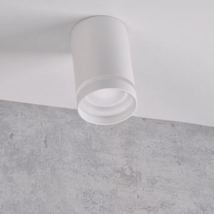 Luce Spot FABRI 1xGU10/10W/230V bianco