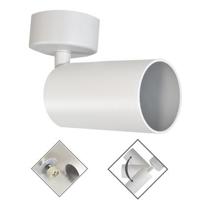 Luce Spot FARGO 1xGU10/30W/230V bianco