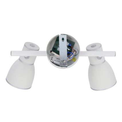 Luce Spot FIDO 2xE14/40W/230V bianco