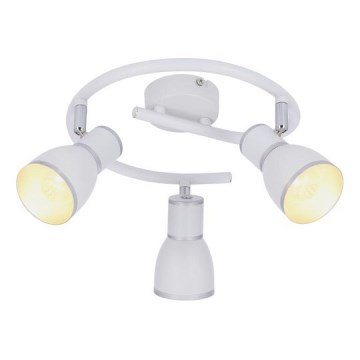 Luce Spot FIDO 3xE14/40W/230V bianco