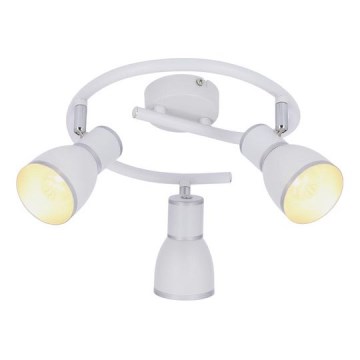 Luce Spot FIDO 3xE14/40W/230V bianco