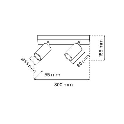 Luce Spot HUDSON 2xGU10/8W/230V nero