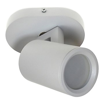 Luce Spot KINIA 1xGU10/30W/230V bianco