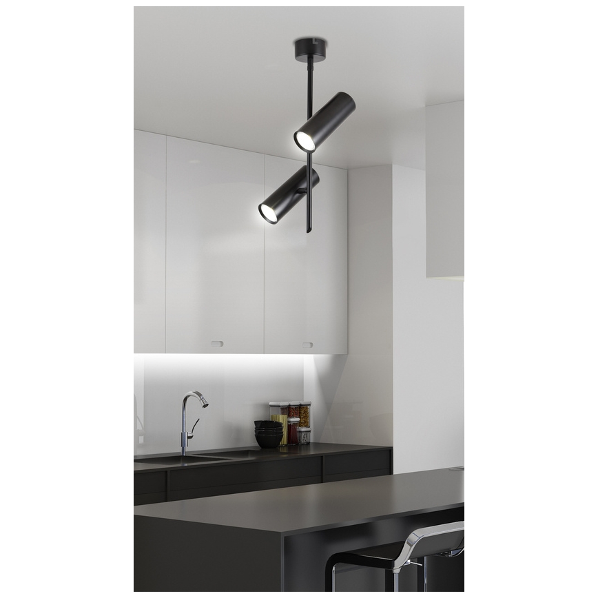 Luce Spot LED TUBA 2xLED/10W/230V nero