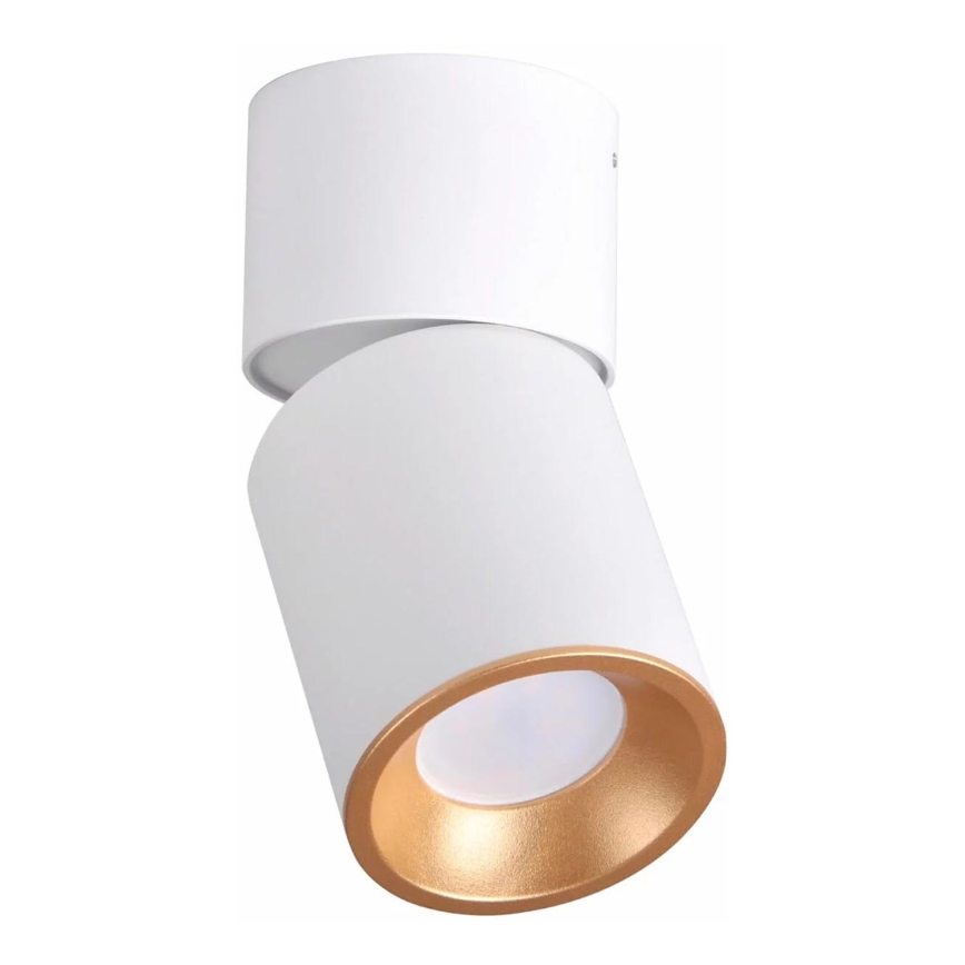 Luce Spot NIXA 1xGU10/10W/230V bianco/oro